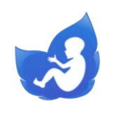 Gestational Age (baby's age) Apk