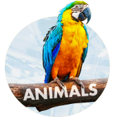 Animals Wallpapers for phone Apk