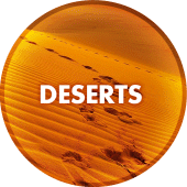 Desert Wallpapers in 4K Apk