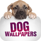 Wallpapers with dogs in 4K Apk