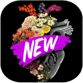 300 + Roses And Flowers GIF Apk