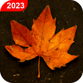 Autumn Live Wallpaper HD Apk