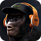 Gorilla Monkey Live Wallpaper Apk