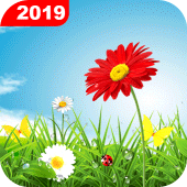 Green Grass Live Wallpaper HD Apk