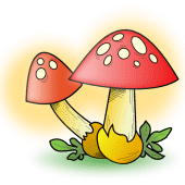 Mushrooms Apk