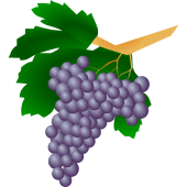 Grape varieties Apk