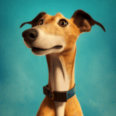 Greyhound Dog Simulator Apk