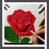 Learn to Draw Roses Flower Apk