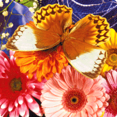 Butterfly Fluttering Puzzle Apk