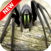 Spider Wallpapers Apk