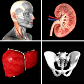 Anatomy Quiz Pro Apk