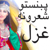 Pashto poetry Apk