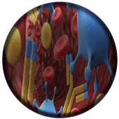 Immunology - Offline Apk