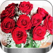 Flores y Rosas Rojas imágenes  Apk