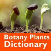 Botany Plants Dictionary Apk