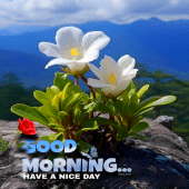 Good Morning Images 2024 Apk