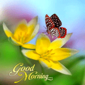 Good Morning Images APPS Apk