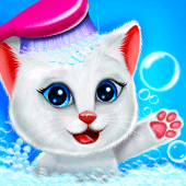 Cat's Life Cycle Game Apk