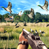 Duck Hunting Challenge Apk