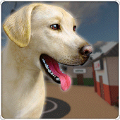 Pet Shelter Sim: Animal Rescue Apk