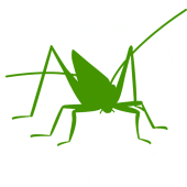 Orthoptera Apk