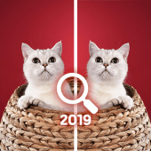 Challenge Find the Difference 2019 Apk