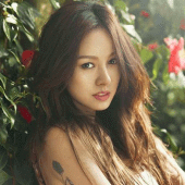 Hyori 4K HD Wallpaper Apk