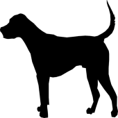 Dogs Quiz Apk