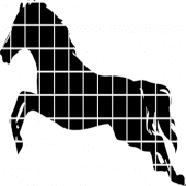 Horses - Puzzle Apk