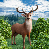 Hunting Games Deer Hunt Sniper Apk