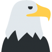 Catch The Eagle Apk