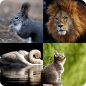 Guess the Animal Apk