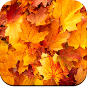 Autumn Wallpaper 4K Apk