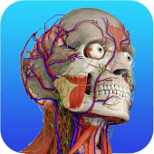 Gray's Anatomy – Atlas | FREE & OFFLINE Apk