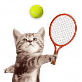 Cat Meow Tennis: Sport Battle Apk