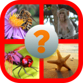 WHAT IS THIS? : ANIMAL Apk