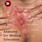 Sex education and Anatomy Apk