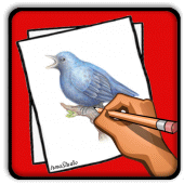 How to Draw Birds Apk