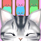 Cats are liquid sort puzzle Apk