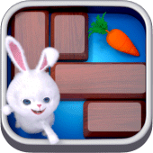 Unblock Zoo Apk