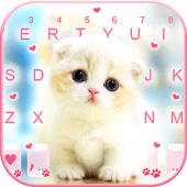 Cute White Kitten Keyboard Background Apk