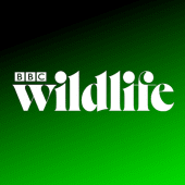 BBC Wildlife Magazine Apk