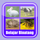 Belajar Membaca Binatang Apk