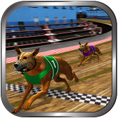 Crazy Real Dog Race: Greyhound Racing Game Apk