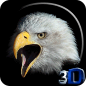 Eagle 3D Video Live Wallpaper Apk