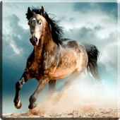 Horses Video Live Wallpaper Apk