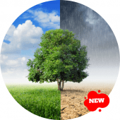 Weather in Australia Apk