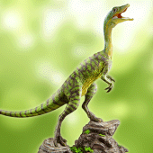 Compsognathus Simulator Apk