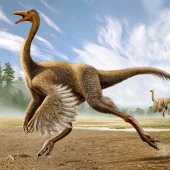 Gallimimus Simulator Apk