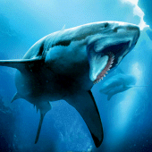 Helicoprion Simulator Apk